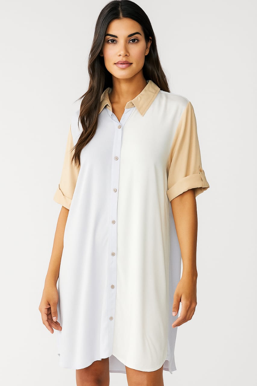 Blue/Beige Shirt Dress